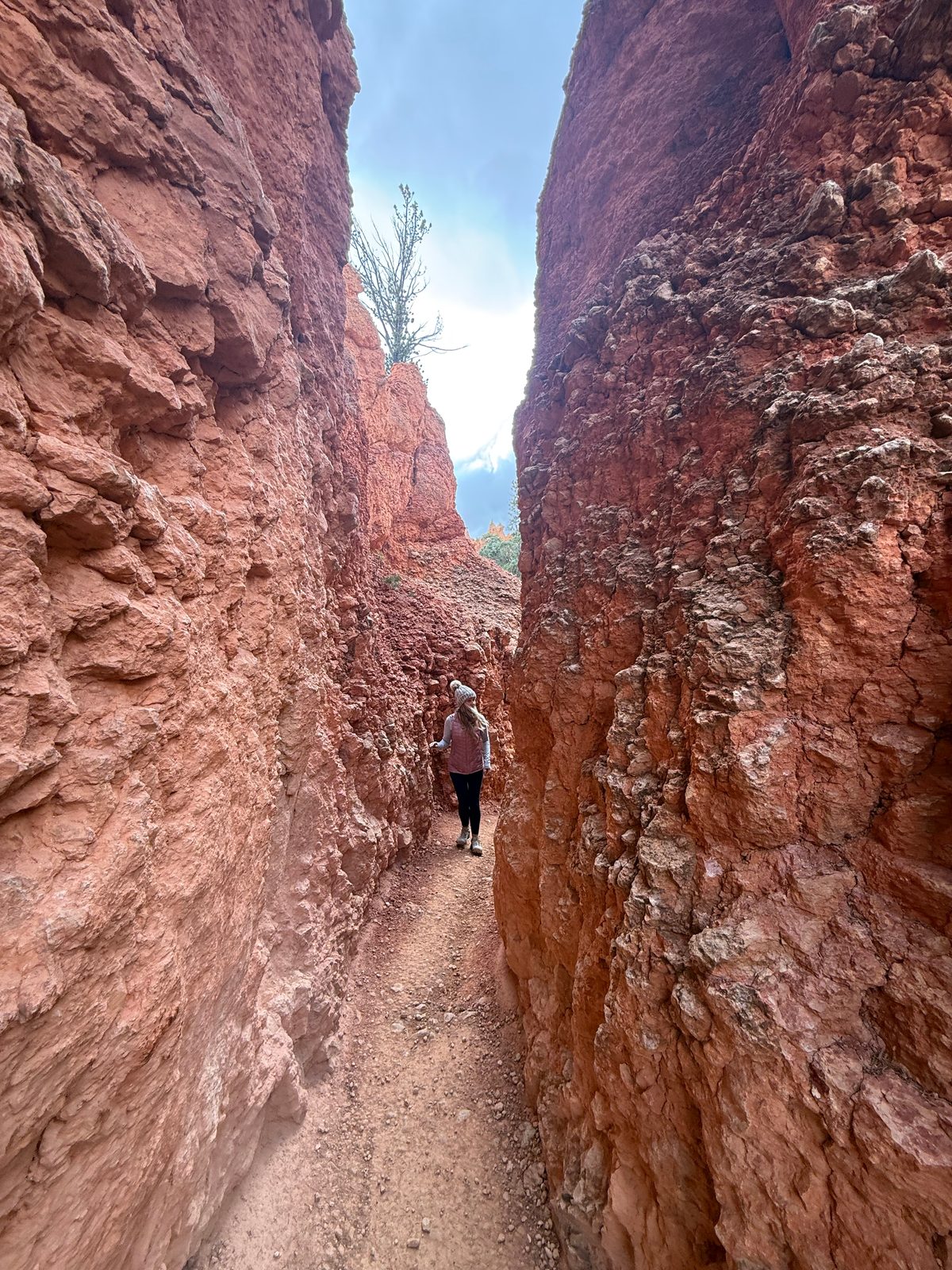 Trisha walking away down a narrow dirt path between two rough orange rock walls, a dead tree silhouetted against the sky at the top of the gap