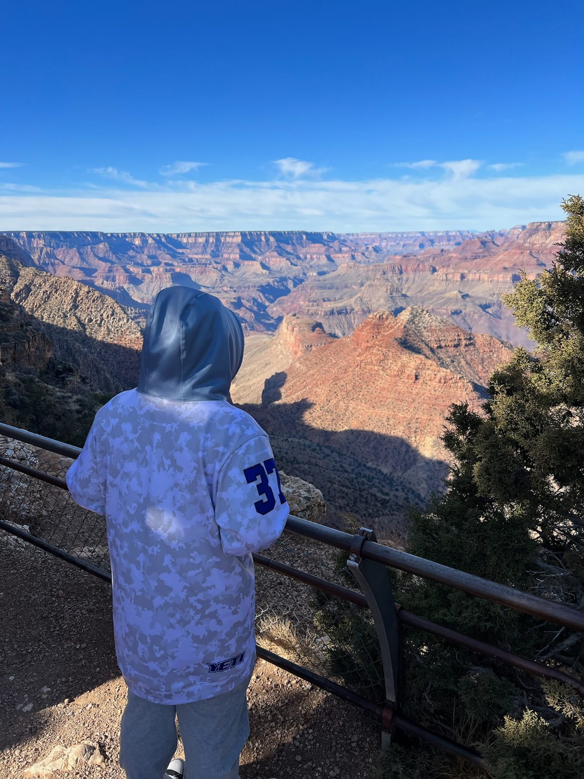 Landon in a hooded sweatshirt standing at the rail with his back to the camera, looking out across the Grand Canyon