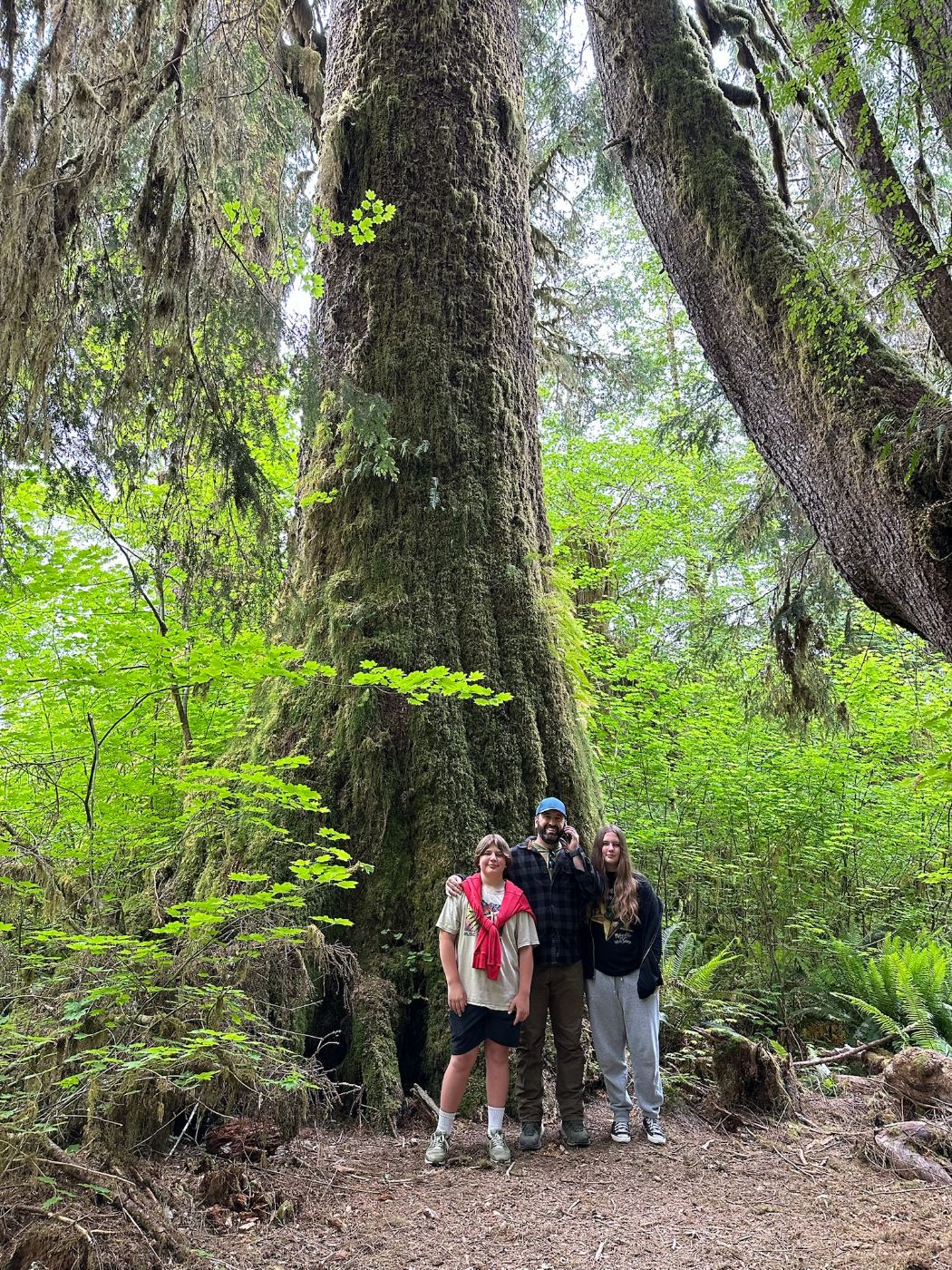 Tony standing with Landon and Lily at the foot of an enormous moss-covered spruce in the Hoh Rain Forest