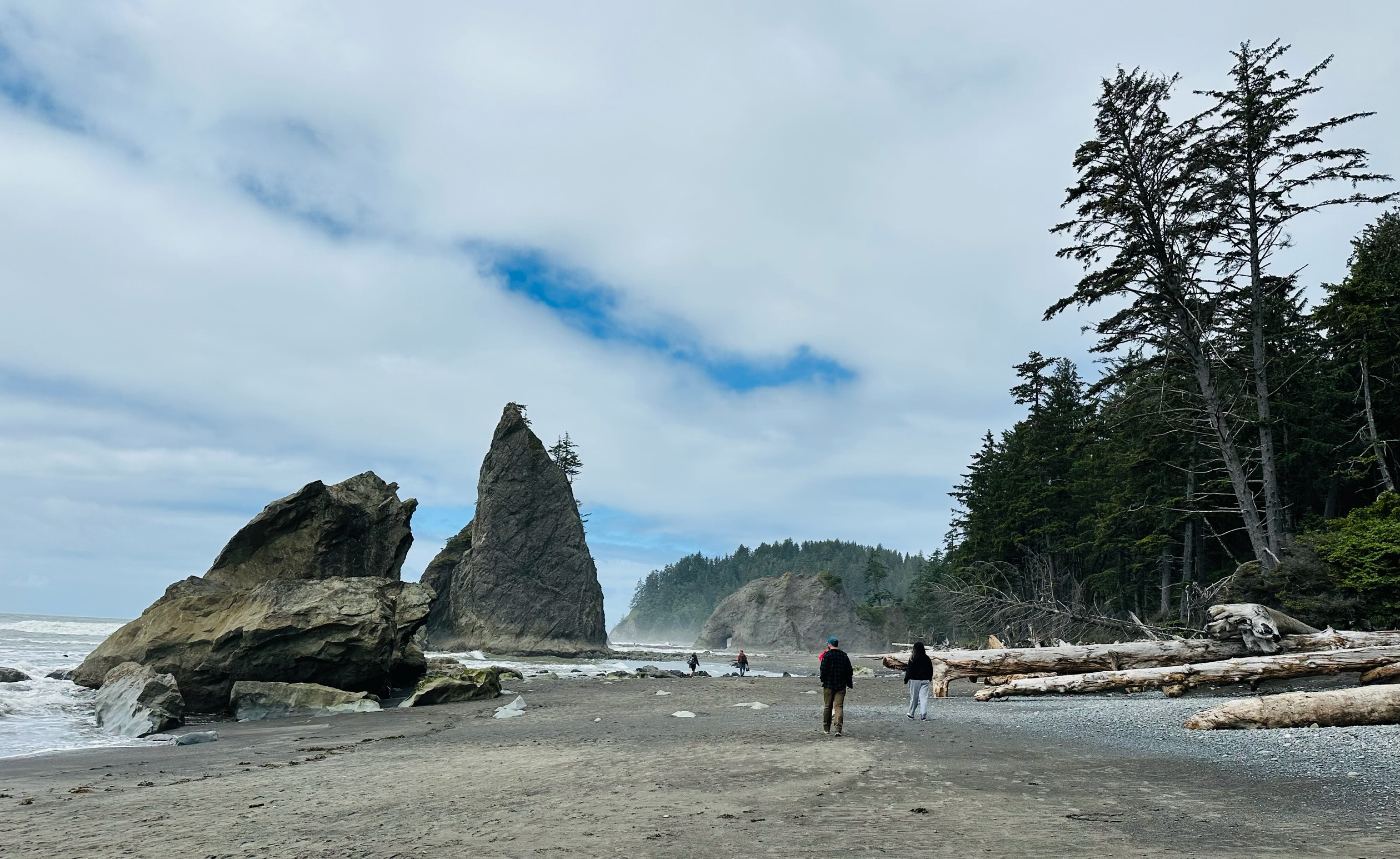 Sea stacks off Rialto Beach with a line of huge drift logs along the shore and two people walking up the sand