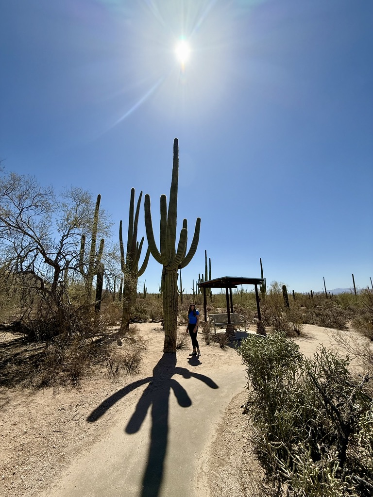 Trisha standing beside a towering multi-armed saguaro, a shaded ramada behind her