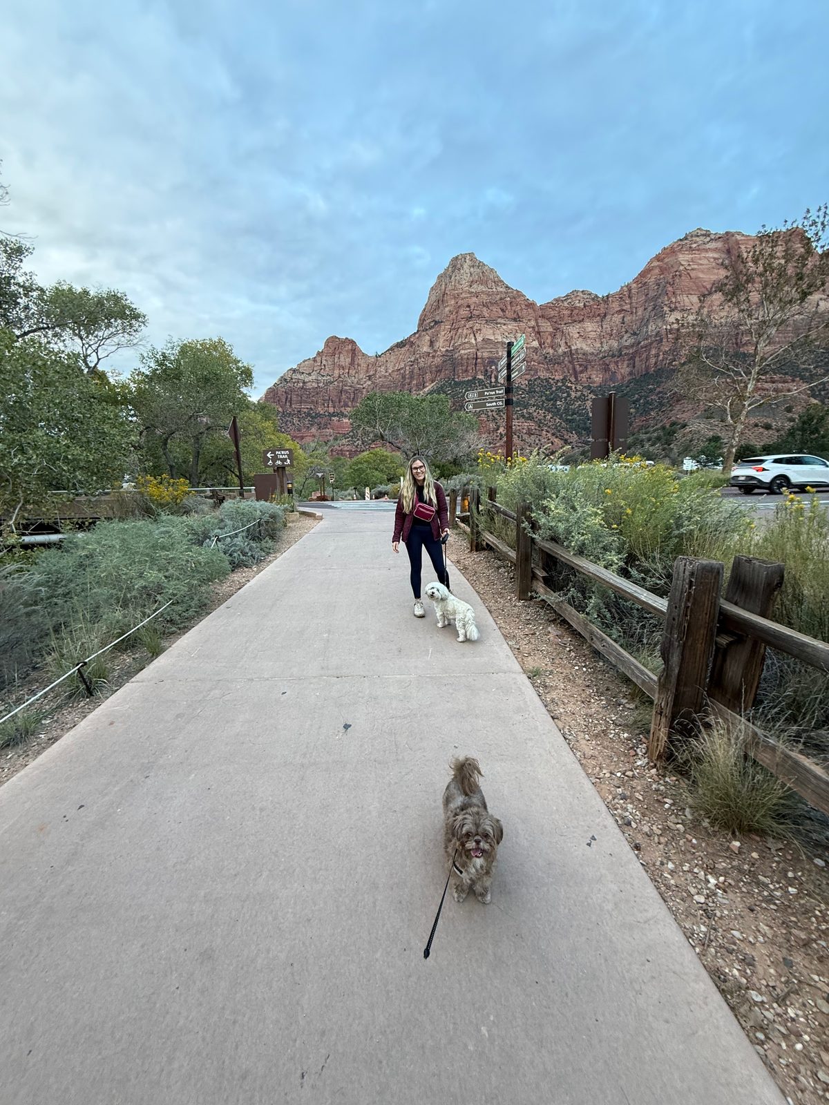 Trisha walking two small shaggy dogs on leashes along a paved path lined with a wooden fence and desert plants, a red sandstone peak rising behind her under an evening sky