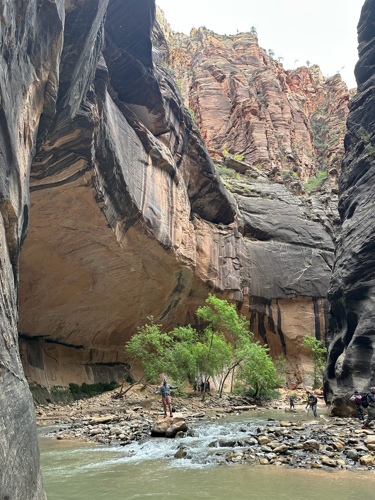 A huge curved overhang of tan and dark-streaked sandstone above the Narrows, a small figure standing on a rock in the river below it, green trees at its base