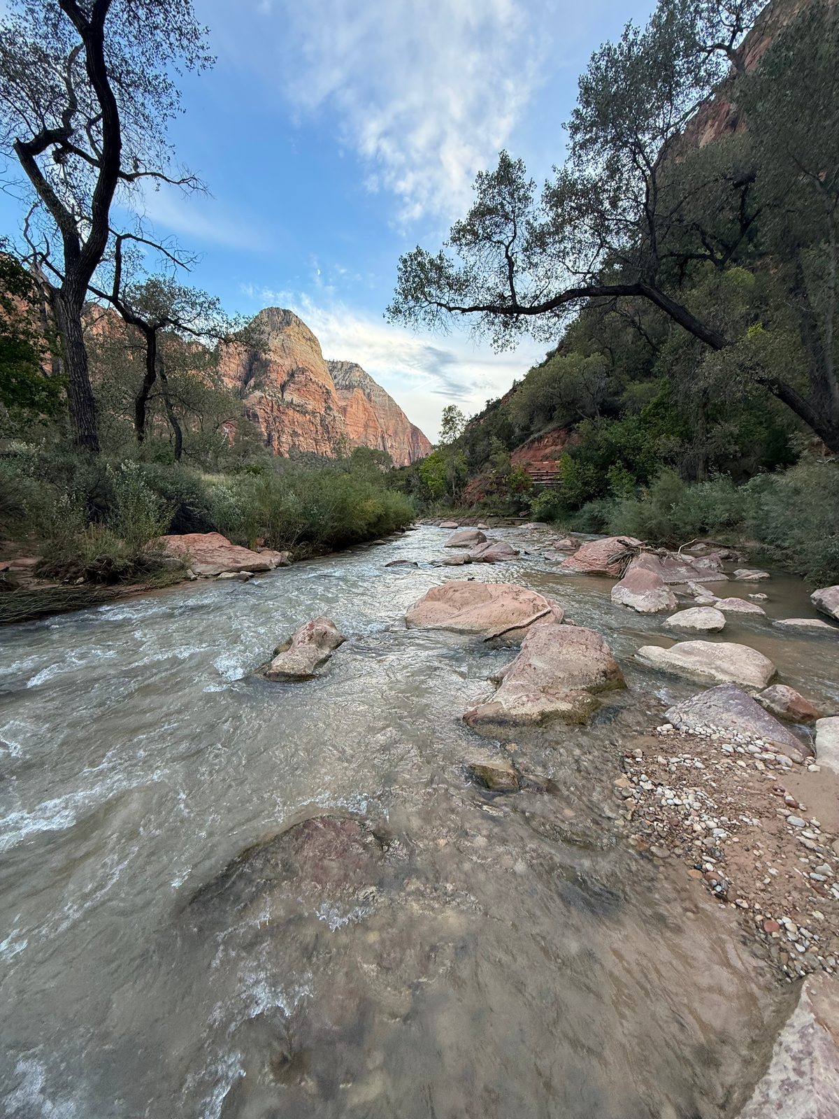 The Virgin River at dusk, shallow and fast over pale boulders, cottonwoods leaning over the water and a red sandstone peak in the distance