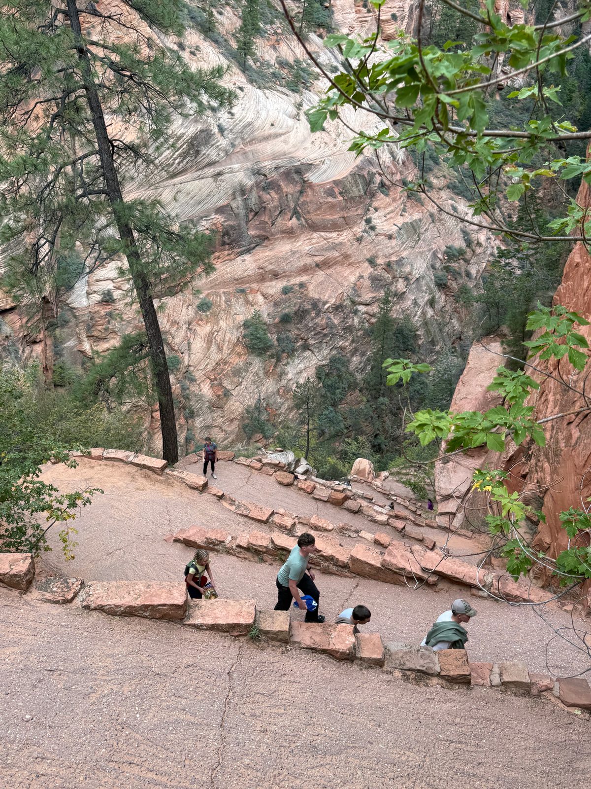 Looking down on Walter's Wiggles, tight paved switchbacks edged with stone where hikers climb, a cliff of swirling cross-bedded sandstone behind